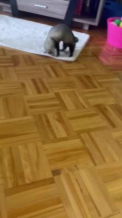 Being crazy is exhausting