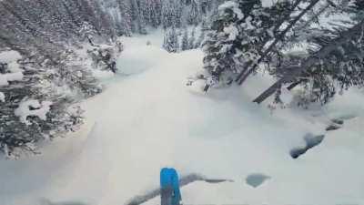 Reality check: trees don't care about your miscalculations.