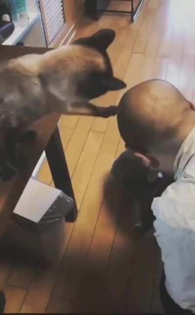 Here I'll give you a little rub too.