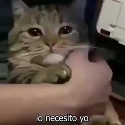 Eu já superei ela 😔👍