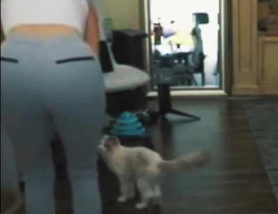 Poki Bending over 😳