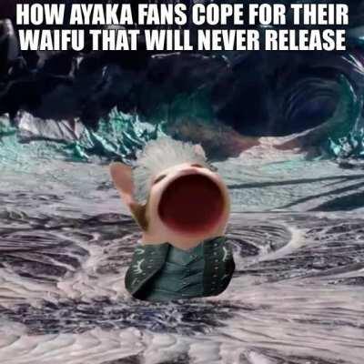 Suffering leak after leak, this subreddit's patience was reaching its limit, breaking down....