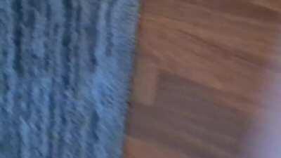 Kitty bringing in a live mouse into my home, only to lose it in my furniture.