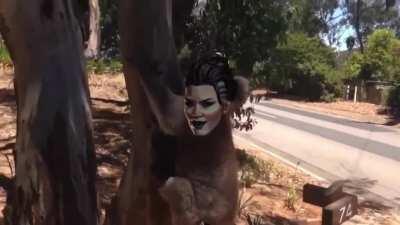 ❤️Fuse and Maggy❤️