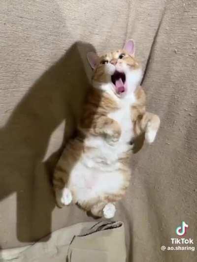 Eepy Dòu Dòu posting!!!