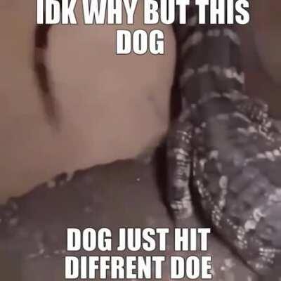 r/wholesome r/mademesmile