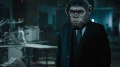 I did a thing. HEDGIES R FUKT!