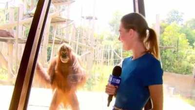 Mmmmm....... Guys I have abad feeling about this 😏