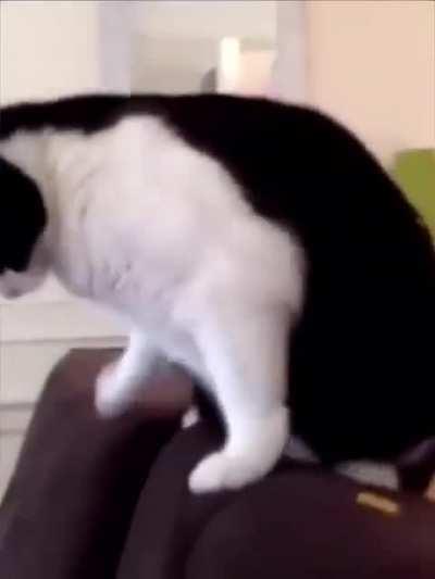 “Wtf is this evil thing?!?”