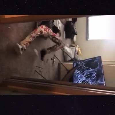 Tf that tv do ? 🤔