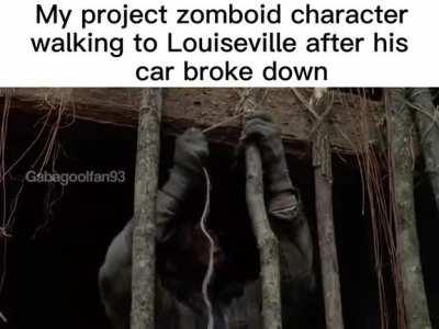 Los pibes en el Proyecto Zomboid cuando: