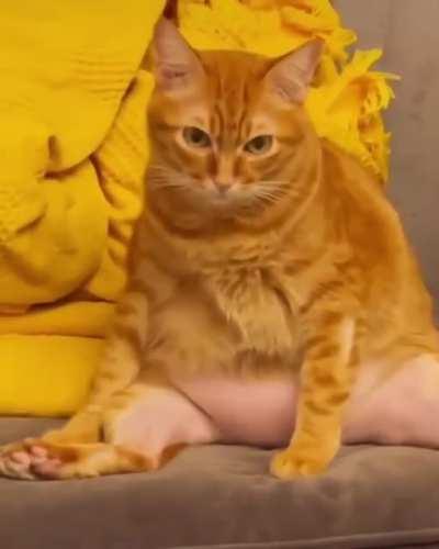 when you woke up first after the party and you realize that something is wrong