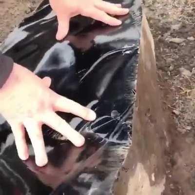 An obsidian stone split in half