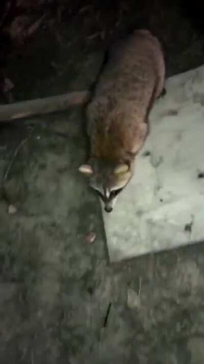 all for one and one for all!