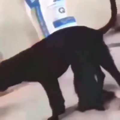 I don't know what to say