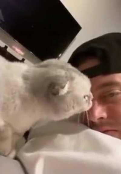 Cat is like “No! Not again!”