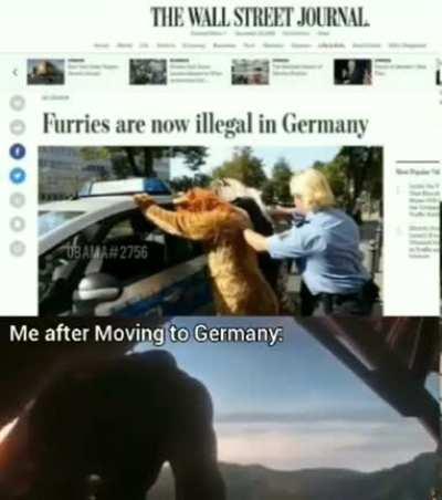 I finally rest, and watch the sunrise on an grateful universe. The hardest choices require the strongest wills.