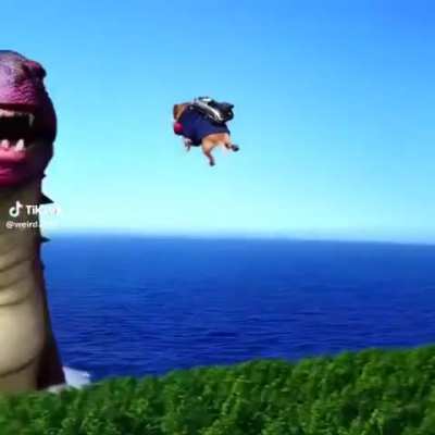 The dock is still holding an April in his melt 🐶🍎