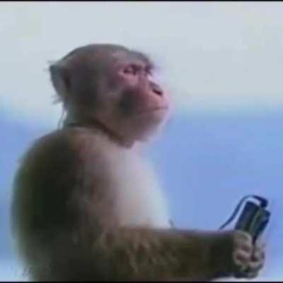 Based on a real story