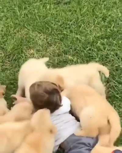 A PaCk Of FeRoCiOuS BeAsTs FeSt On A LiTtLe KiD