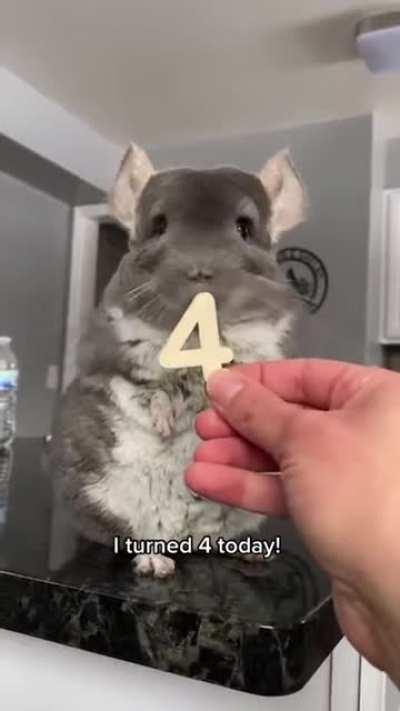 Why are you so cute????