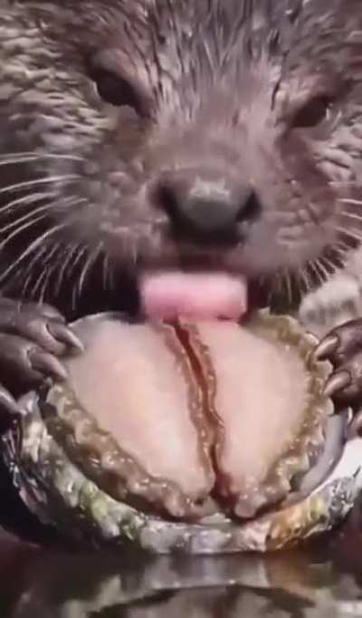 And I'd eat her out while I was down there 😝😝😝