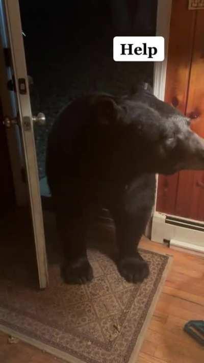 Courteous Bear Closes The Door
