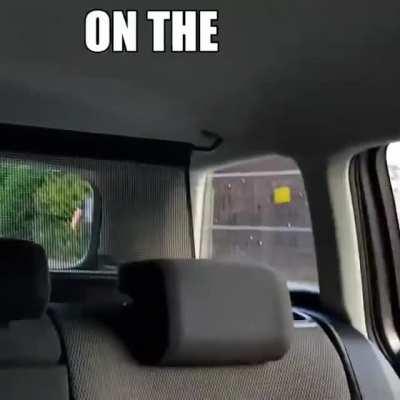 etzadla der Meddler of Everything