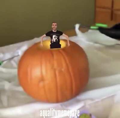 Pumpkin 😩😳