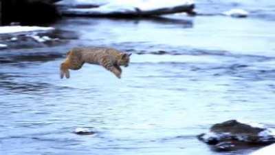 Long jump..success !!!