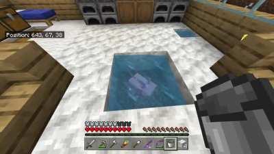 Infinite water with axolotls!