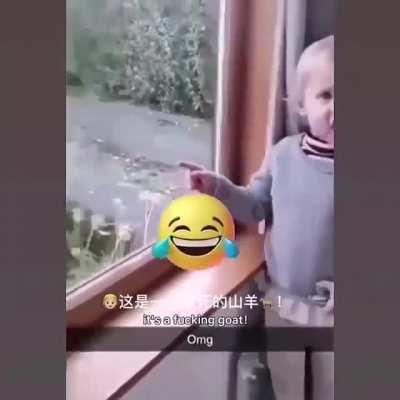 It’s a fu*king goat!