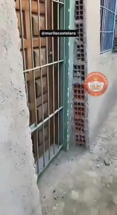 Entortadinha de leve