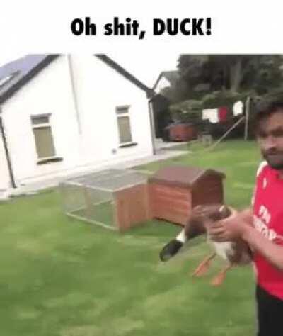 DUCK!