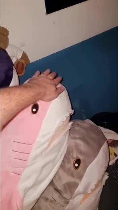 They all wanted to be booped on the head before going to sleep.