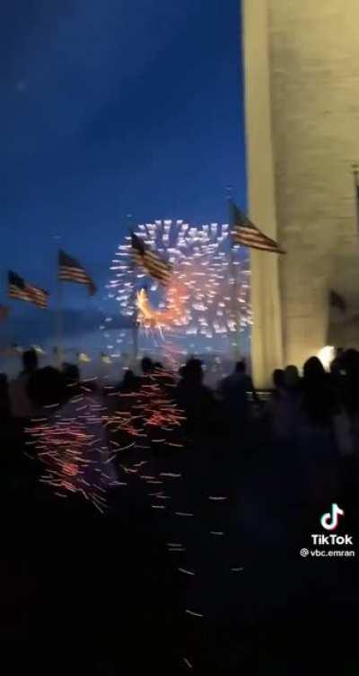 POS throws fireworks into a crowd of people at the National Mall