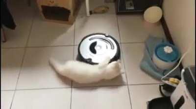 MRW i dont care what people think