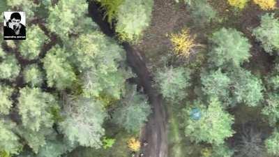 RU POV: drone drops on AFU troops