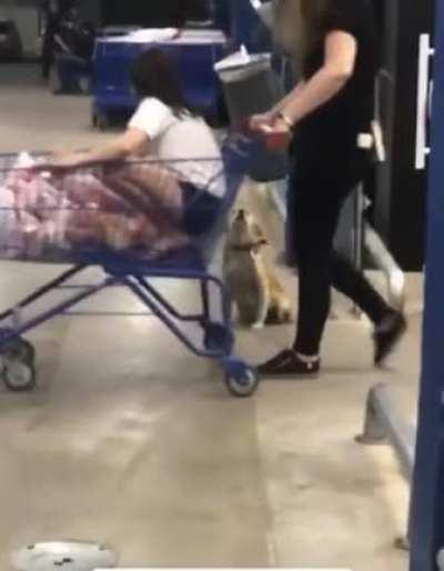 This Good Boi waves goodbye to everyone who leaves the store.