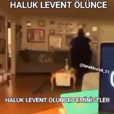 Haluk ab