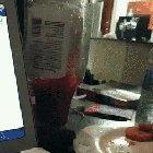 Trying to enjoy a meal when you have a sneaky fluffy thief in the house.