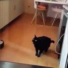 Радиолюбители тут?!