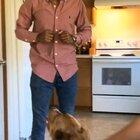 Not my video but doggo attacks