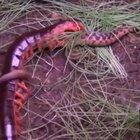 oh okay time to leave Earth.