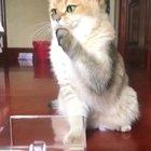 A rare moment caught on camera