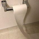 Get a pet they said, it’ll be easy they said!