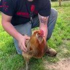 Crosspost from /r/birdsarntreal