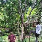 Super helpful friend