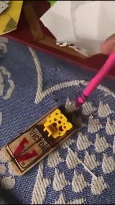 Playing with a Mousetrap