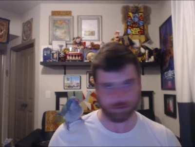 This is one of Ayla's favorite games to play with me. I love having a burd TwT <3